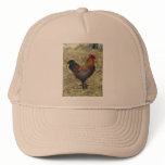 Rooster 1 hats