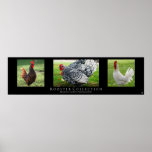 "Rooster Collection", Black posters