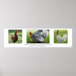 "Rooster Collection", White posters
