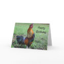 Rooster Crowing Nature Birthday Greeting Card