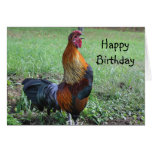 Rooster Crowing Nature Birthday Greeting Card