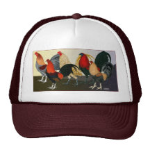 Rooster Dream Team Hat