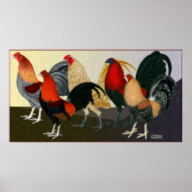 Rooster Dream Team Posters