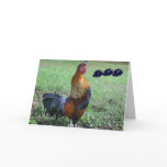 Rooster Humorous 100th Birthday Greeting Card