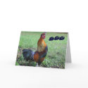 Rooster Humourous 100th Birthday Greeting Card