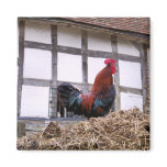 ROOSTER magnets