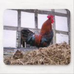 ROOSTER mousepads