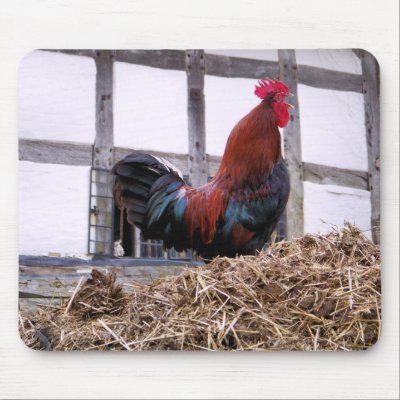ROOSTER MOUSE PAD by thewildside