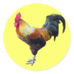 Rooster plain