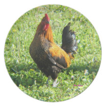 Rooster Plate