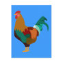 Rooster Postcard