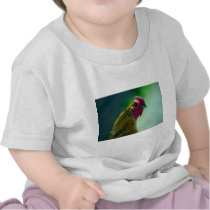 Rooster Shirts