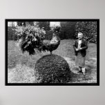 Rooster Shrub at the Villa Trianon 1925 posters