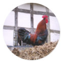 ROOSTER stickers