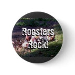 Roosters Rock!