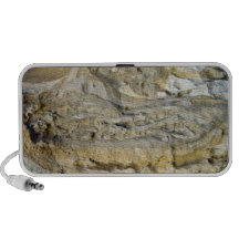 Root fossils in limestone seawall laptop speaker