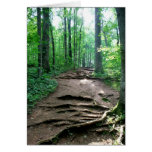 root steps greeting card