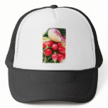 Root Vegetables hats