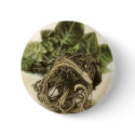 Roots 1 - Fine Botanical Art buttons