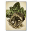 Roots 1 - Fine Botanical Art cards