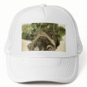 Roots 1 - Fine Botanical Art hats