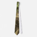 Roots 1 - Fine Botanical Art ties