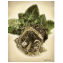 Roots 1 - Fine Botanical Art t-shirts