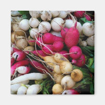 'Roots' Magnet
