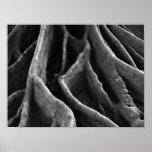 Roots Posters