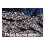Rope Fibres Cards