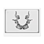 Rors Seven Fractal postcards