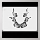 Rors Seven Fractal Poster posters