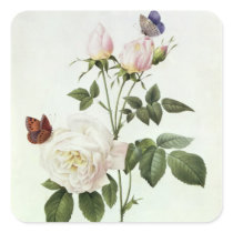 Rosa: Bengale the Hymenes Sticker