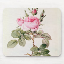 Rosa Bifera Officinalis, from 'Les Roses' Mouse Pad