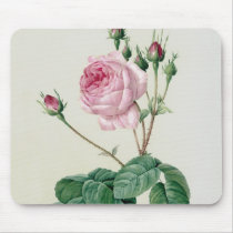Rosa Centifolia Bullata Mouse Pad