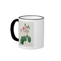 Rosa Centifolia Bullata Mug
