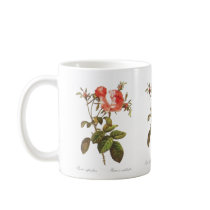 Rosa Centifolia Foliacea Mug