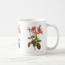 Rosa Centifolia Foliacea Mug