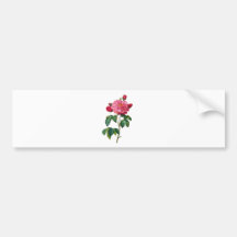 Rosa Gallica - Red Rose by Redoute Bumper Sticker