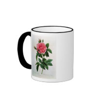 Rosa Gallica Regallis Mugs
