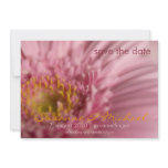 Rosa Gerbera • Save the Date Karte invitations
