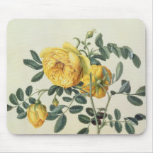 Rosa hemispherica, 18th century mouse pad