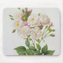 Rosa Noisettiana, from'Les Roses' Mouse Pads