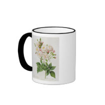 Rosa Noisettiana, from'Les Roses' Coffee Mugs