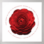 "Rosa" Red Rose Inspirational Canvas Print