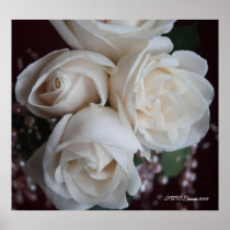 Rose 10