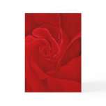 Rose #16 Greeting Card