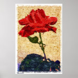 rose 1 posters
