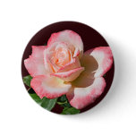 Rose 6440 Button