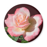 Rose 6440 Magnet